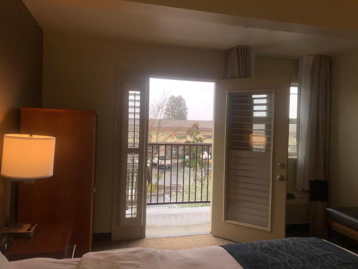 Comfort Inn&Suites Ukiah Mendocino County Esterno foto